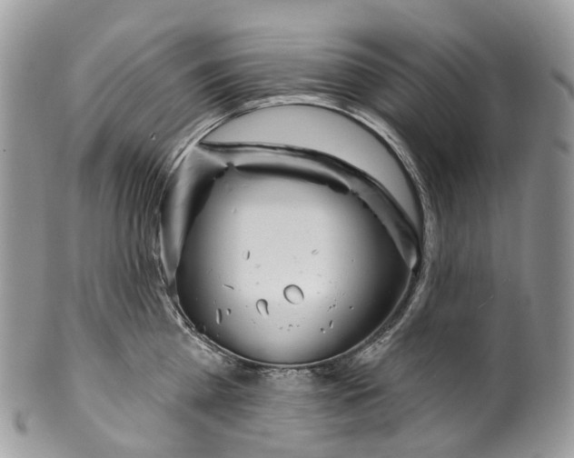 X0000099520809200806051209