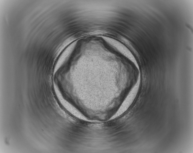 X0000099520810200806051209