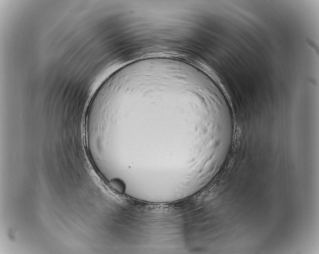 X0000099520811200806051209