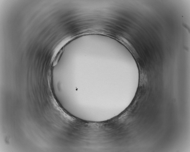 X0000099520812200806051209