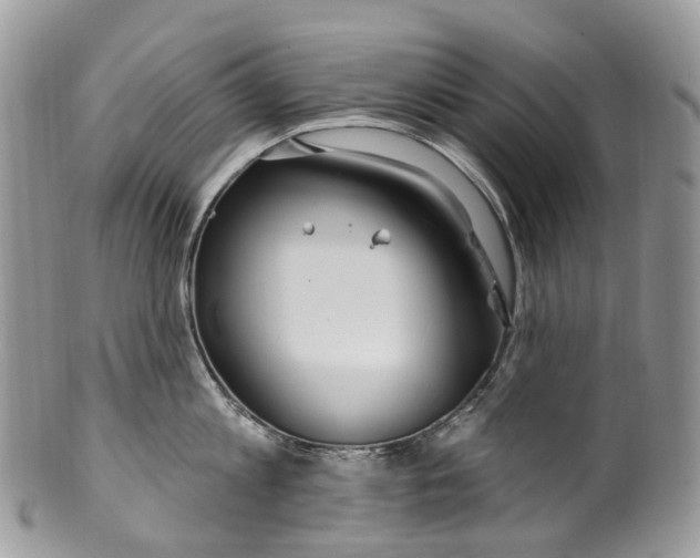 X0000099520813200806051209