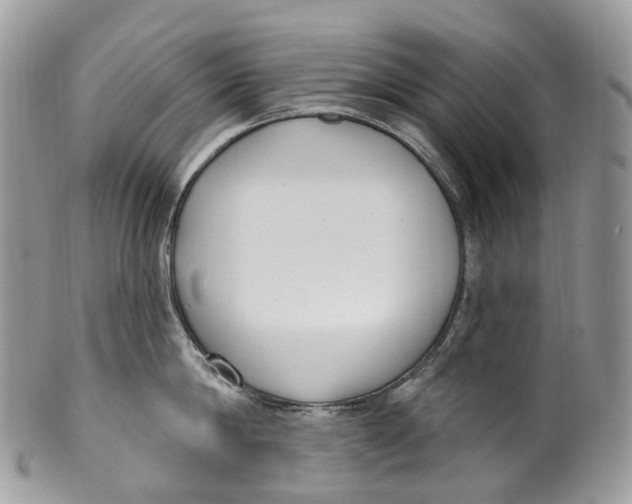 X0000099520814200806051209