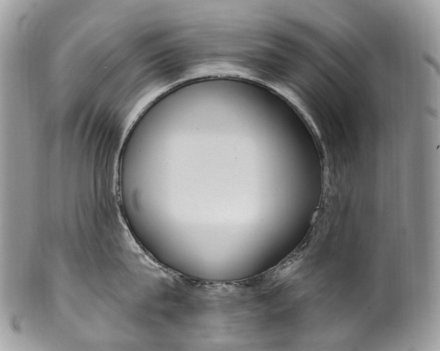 X0000099520815200806051209