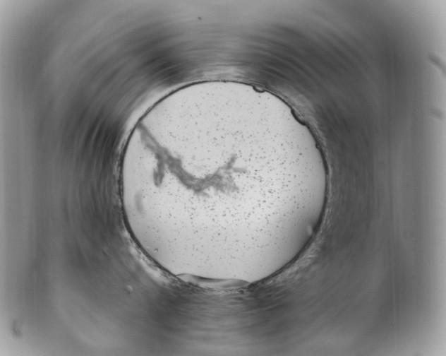 X0000099520816200806051209