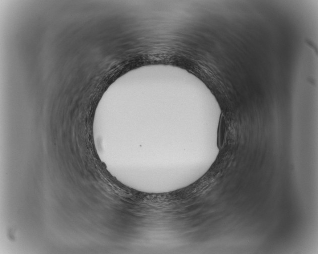 X0000099520817200806051209