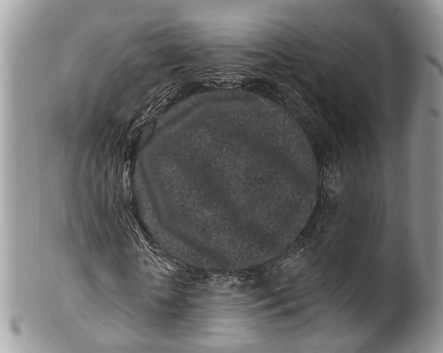 X0000099520818200806051209