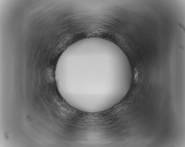 X0000099520819200806051209