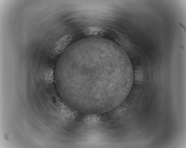 X0000099520820200806051209