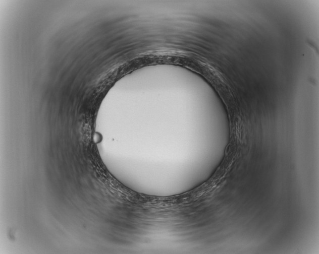 X0000099520821200806051209