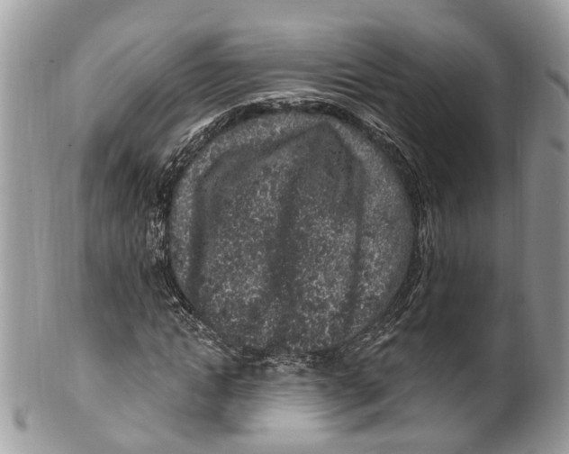 X0000099520822200806051209