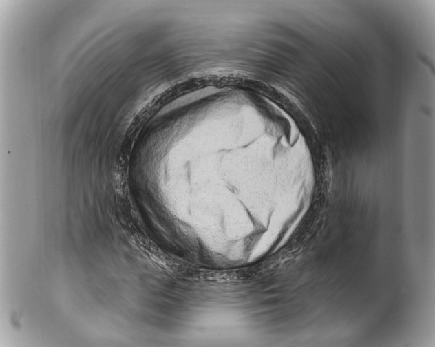 X0000099520823200806051209