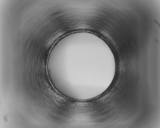 X0000099520825200806051209