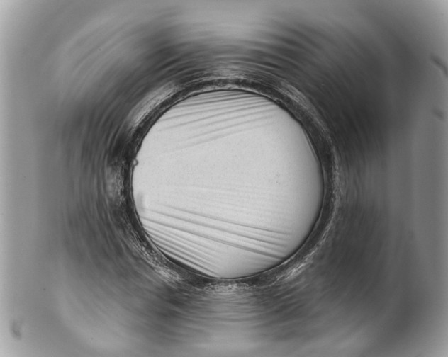 X0000099520826200806051209