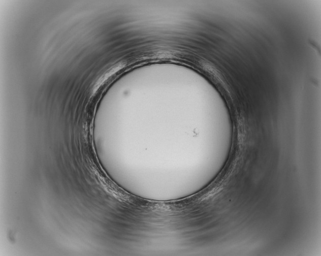 X0000099520827200806051209