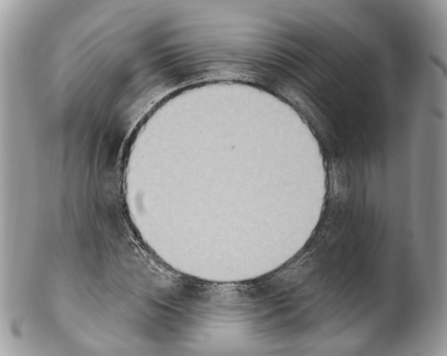 X0000099520828200806051209