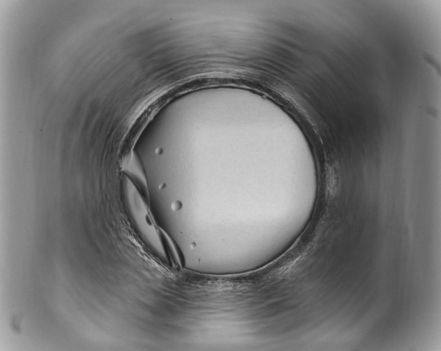 X0000099520829200806051209