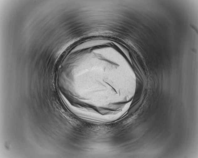 X0000099520830200806051209