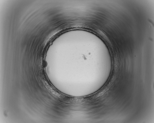 X0000099520831200806051209