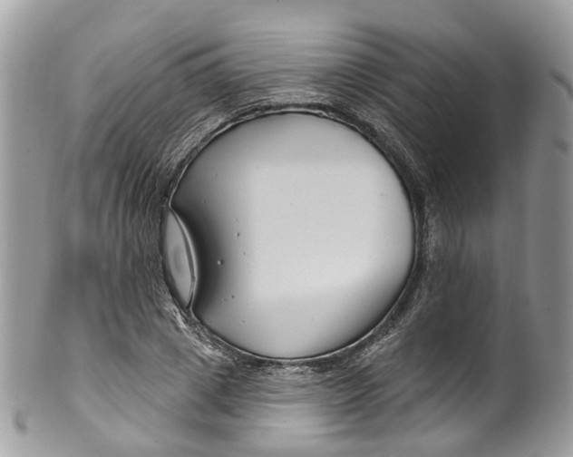 X0000099520833200806051209