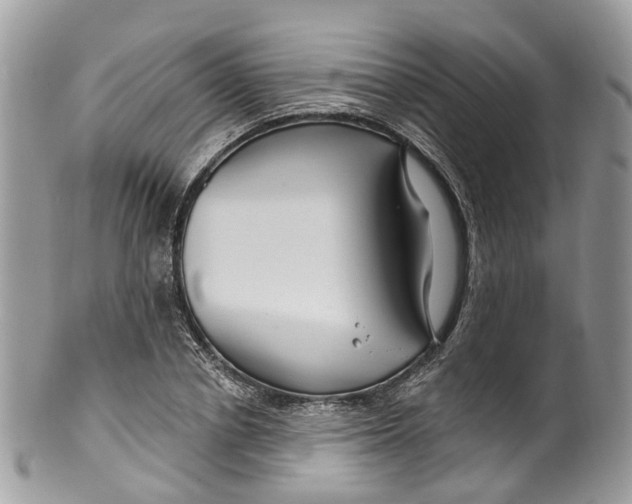 X0000099520834200806051209