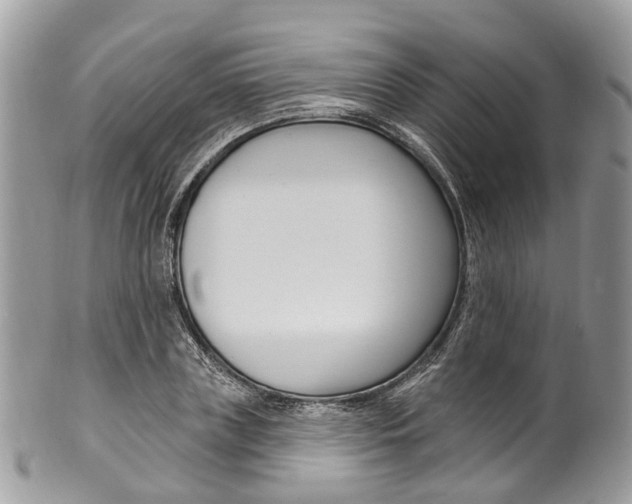 X0000099520835200806051209