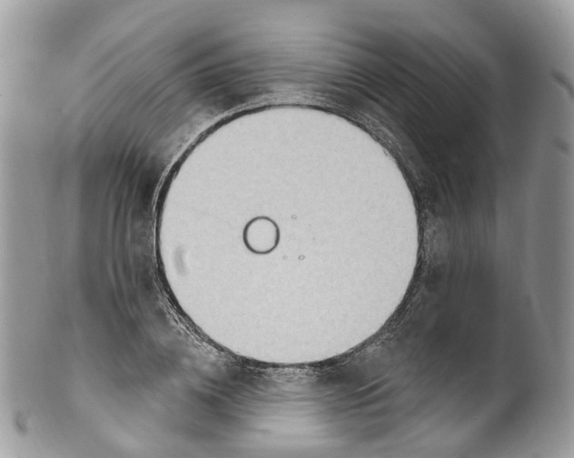 X0000099520836200806051209