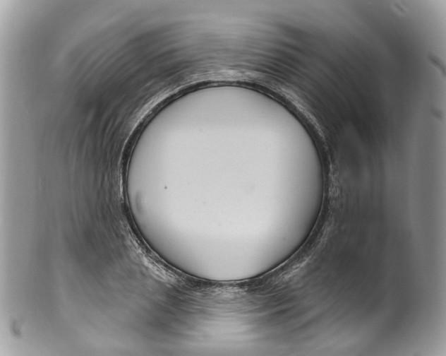 X0000099520837200806051209