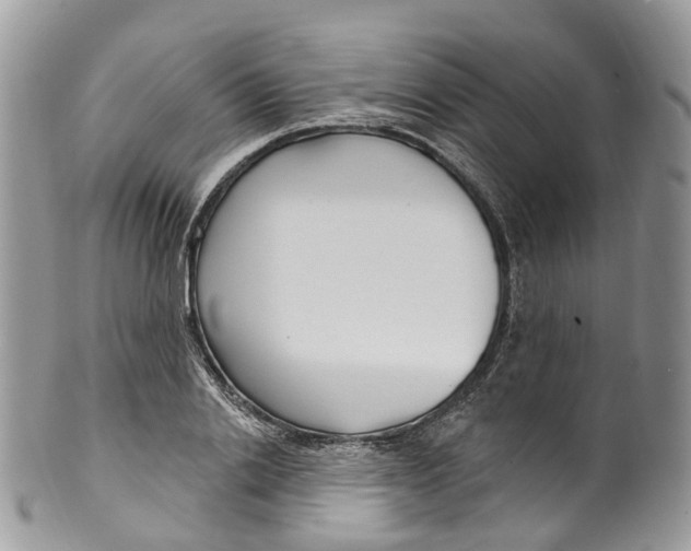 X0000099520838200806051209