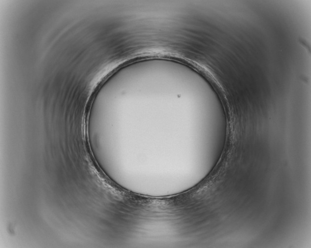 X0000099520839200806051209