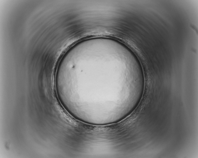 X0000099520840200806051209