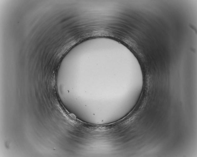 X0000099520841200806051209