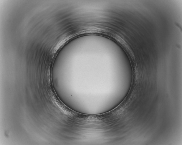 X0000099520842200806051209