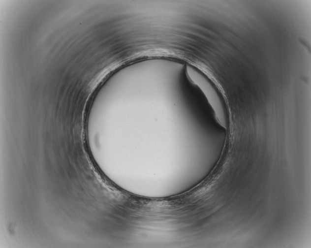 X0000099520845200806051209