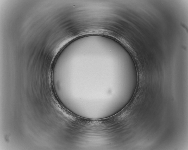 X0000099520846200806051209