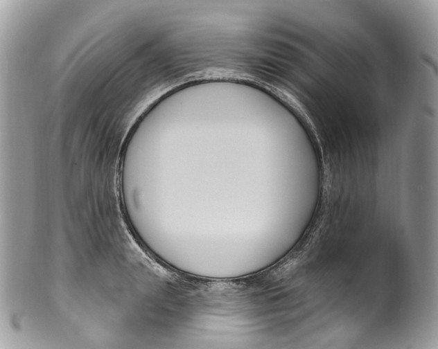 X0000099520847200806051209