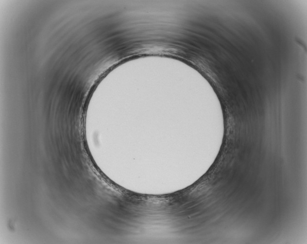 X0000099520848200806051209