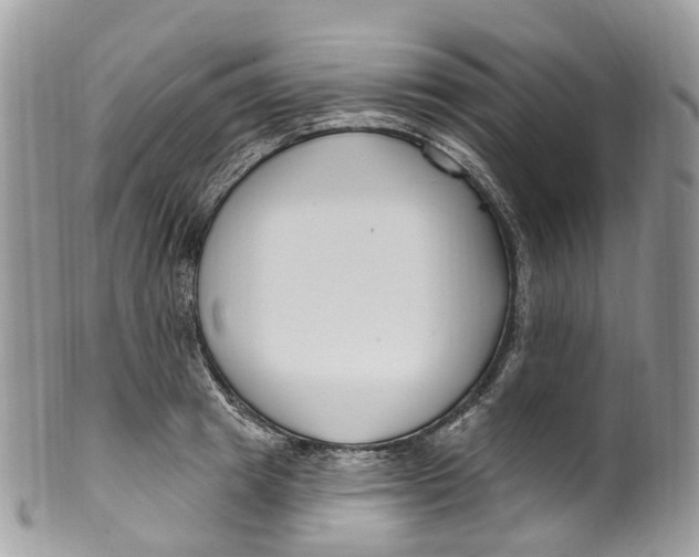 X0000099520849200806051209