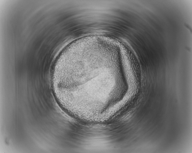 X0000099520851200806051209