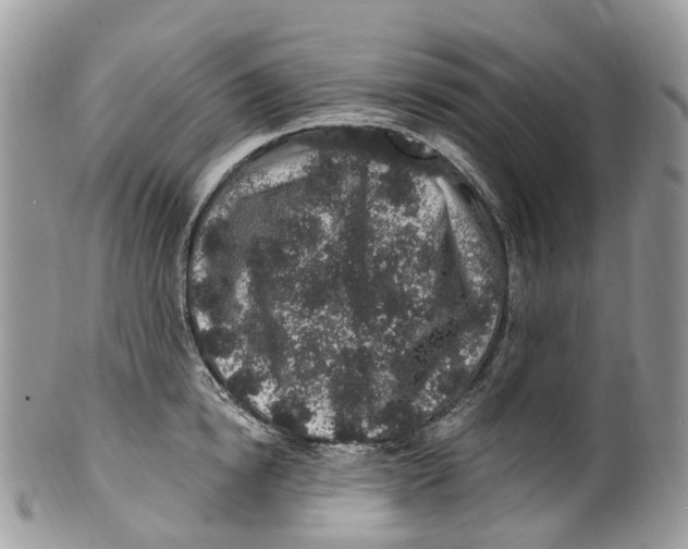 X0000099520854200806051209