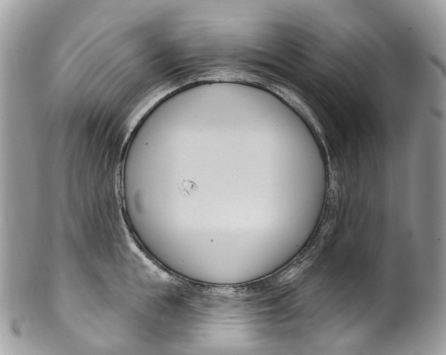 X0000099520855200806051209