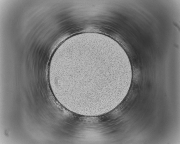 X0000099520856200806051209