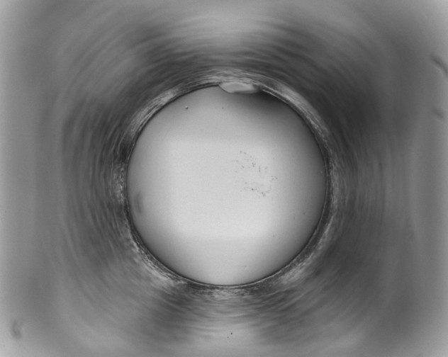 X0000099520857200806051209