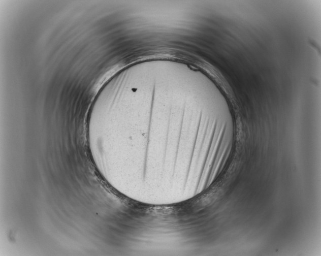 X0000099520858200806051209