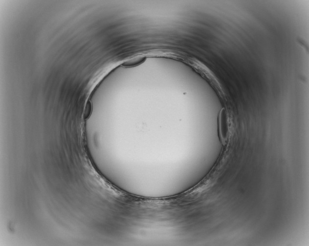 X0000099520860200806051209