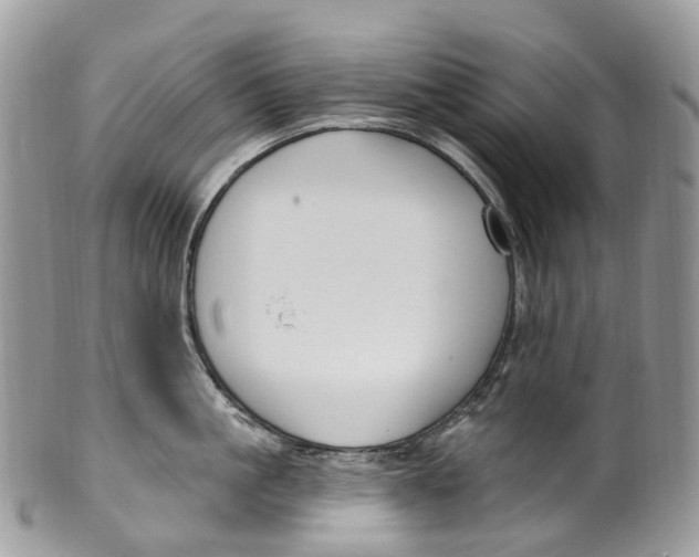 X0000099520861200806051209