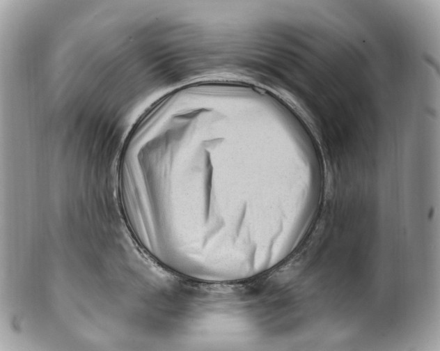 X0000099520862200806051209