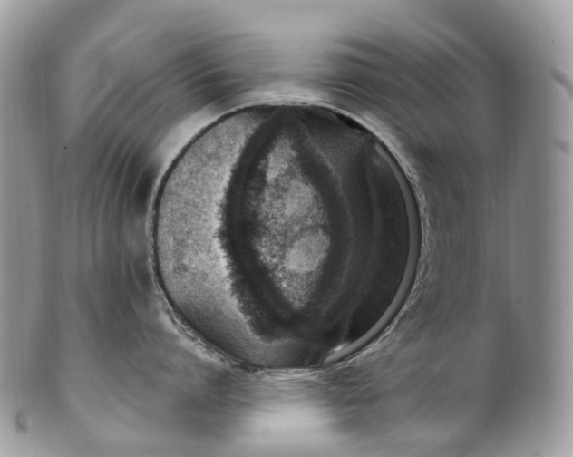 X0000099520864200806051209