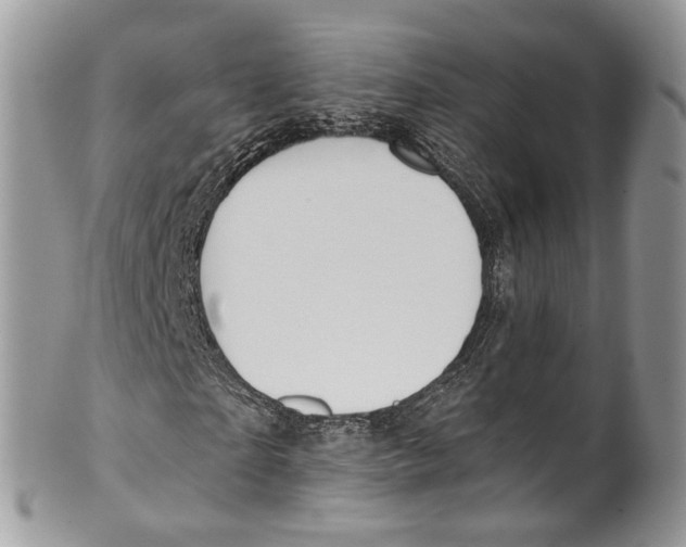 X0000099520865200806051209