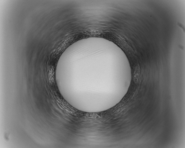 X0000099520866200806051209