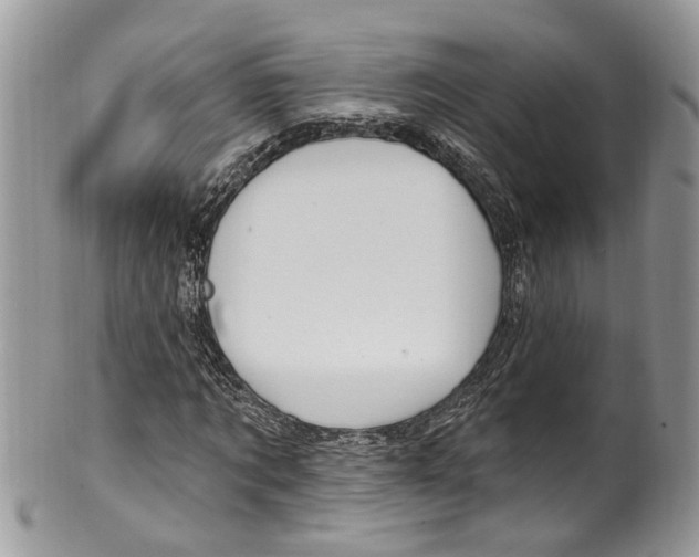 X0000099520869200806051208